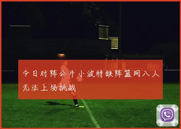 今日对阵公牛小波特缺阵篮网八人无法上场挑战