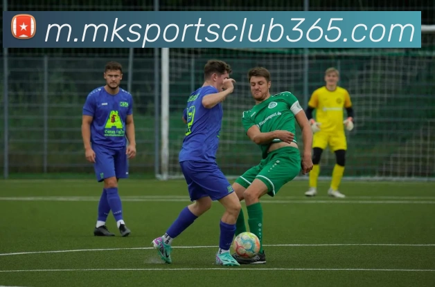 mk体育APP 高清赛事图